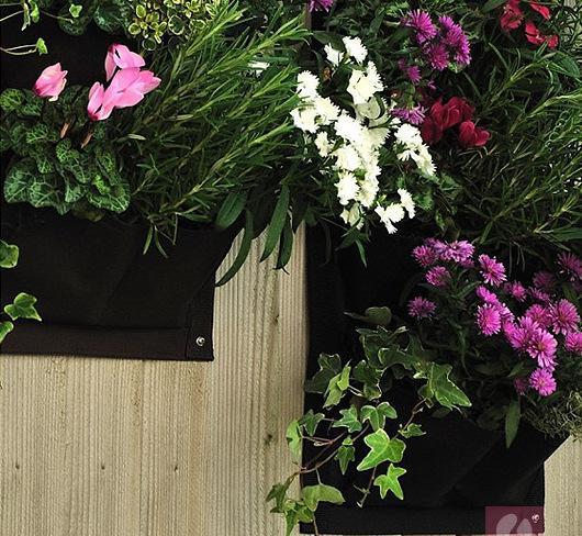 美植袋西府海棠 美植袋西府海棠