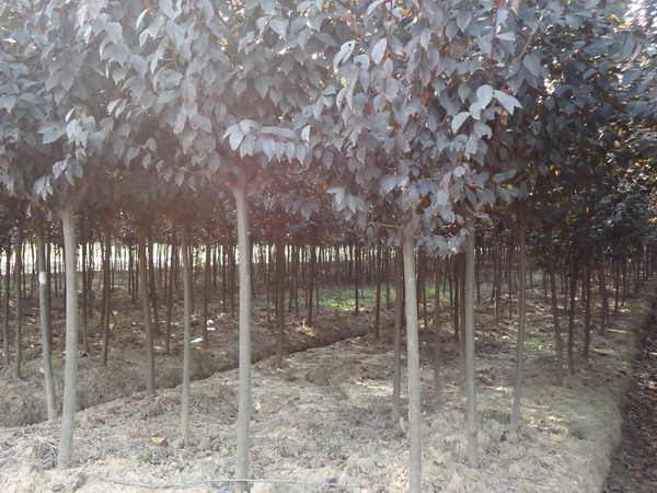 ????o￠??????????o￠???????&nbsp;?è????·?&nbsp;?