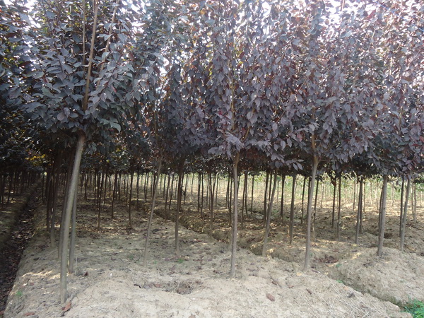 ????o￠??????????o￠???????&nbsp;?è????·?&nbsp;?