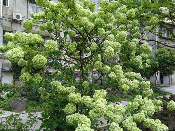 1619880162542733.jpg 5b37482269bdfeca.jpg