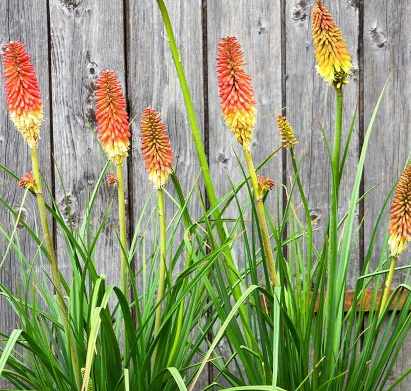 1636963659980018.jpg 1.webp.jpg