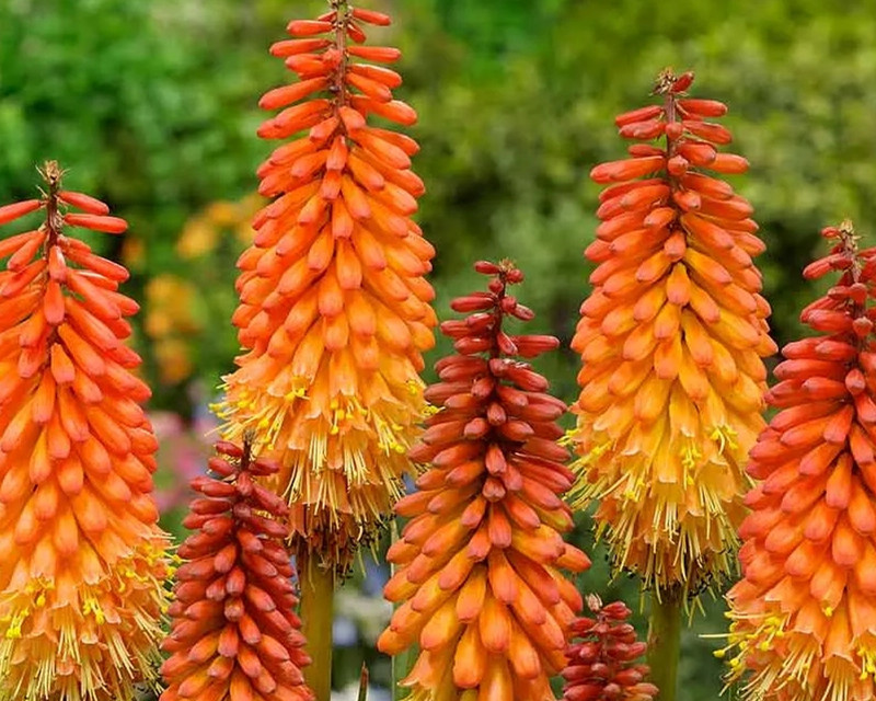 1636963685119570.jpg 2.webp.jpg