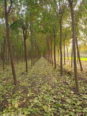 1646956794654058.jpg 1646956794654058.jpg