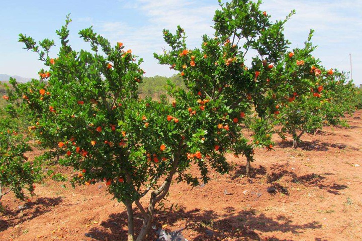 1686321409194108.jpg 563b68a1d8f1576db065a78c763a6320_1686321020627572.jpg