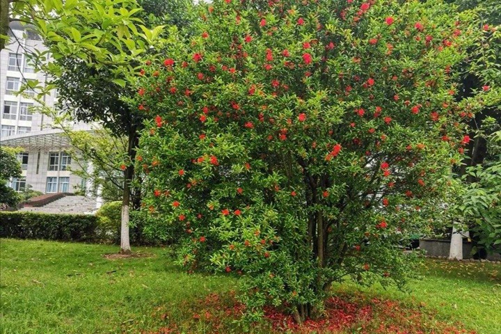 1686321423662462.jpg 0db9b4c3cf55bfd88f8aa24a4dbee55c_1686321004403328.jpg