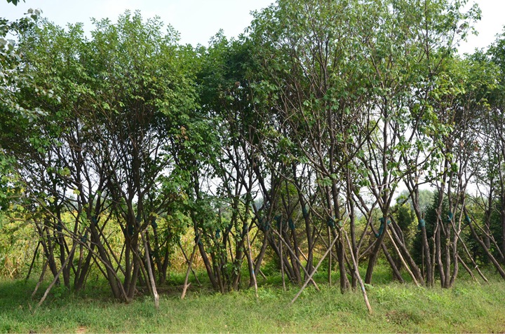 1686452698850248.jpg 5fbb22fd1d2298ceaf2224a598d6f8cb_1646896685719001.jpg