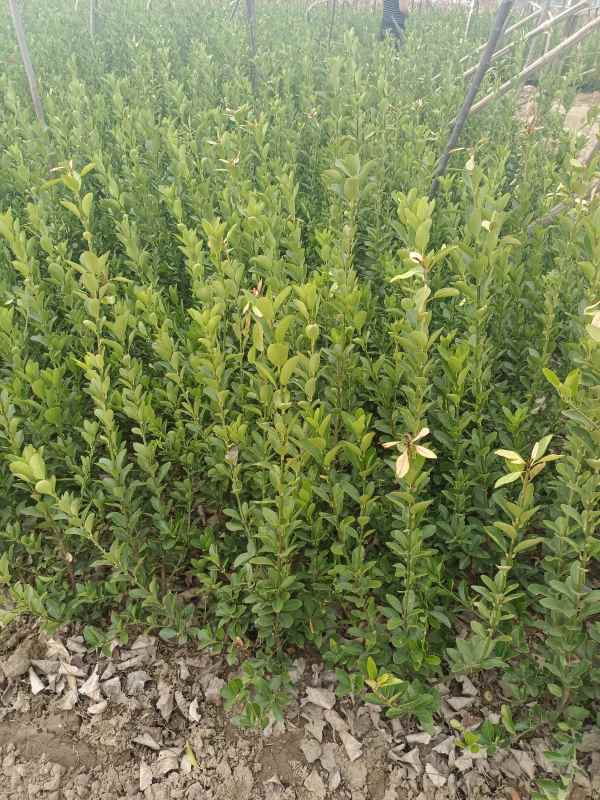 1730691021796377.jpg IMG_20220228_125440.jpg