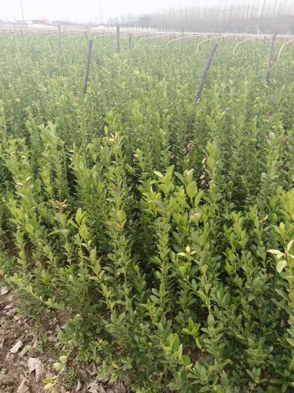 1730697368443815.jpg IMG_20220228_125558.jpg