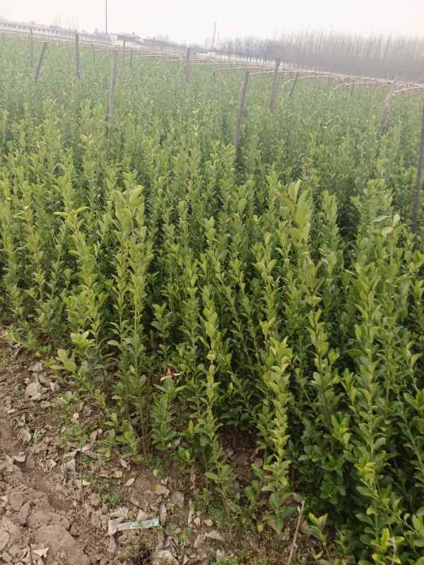 1730698506813632.jpg IMG_20220228_125449.jpg