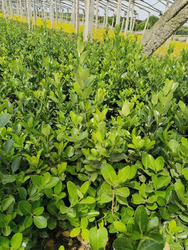 1730704373917873.jpg IMG_20230523_142636.jpg