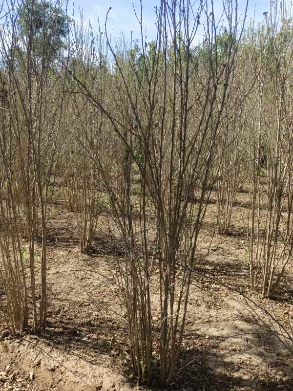 1733452688244556.jpg IMG_20220924_112655.jpg