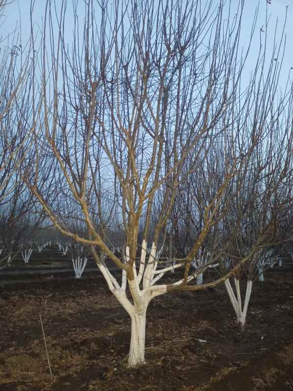 1734327011838766.jpg IMG_20230213_181551.jpg